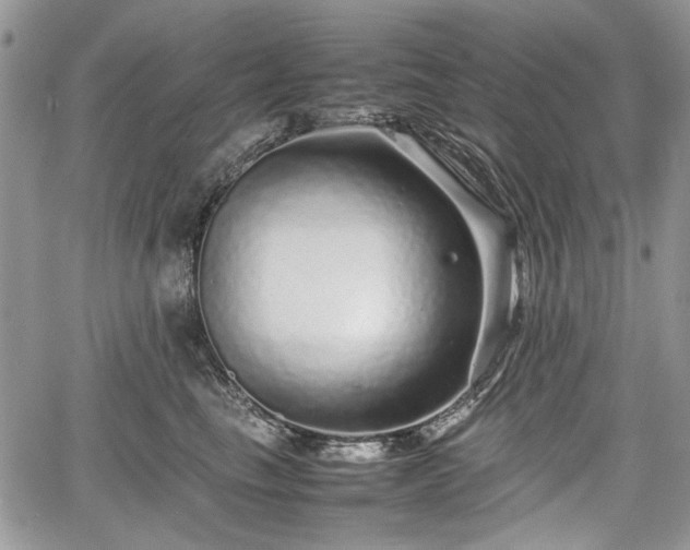 X0000067910665200604171340