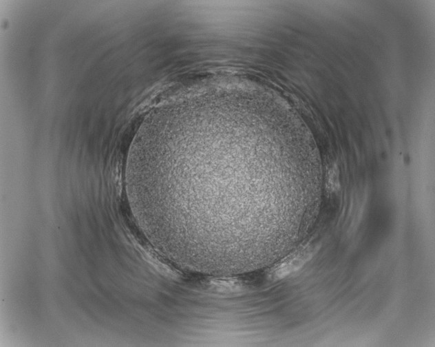 X0000067910666200604171340