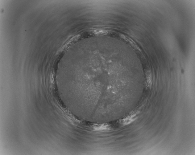 X0000067910667200604171340