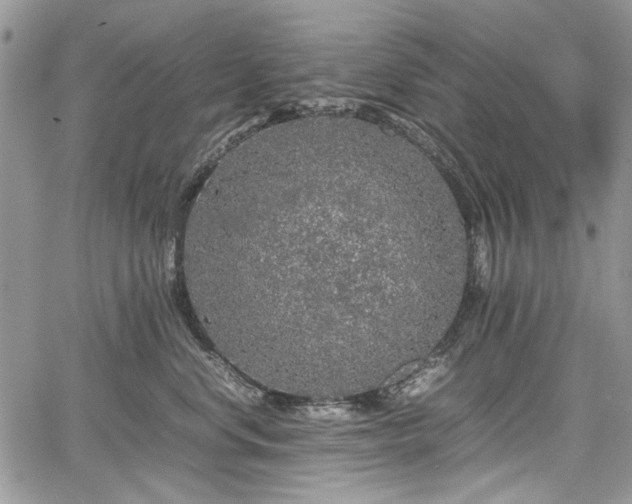 X0000067910668200604171340