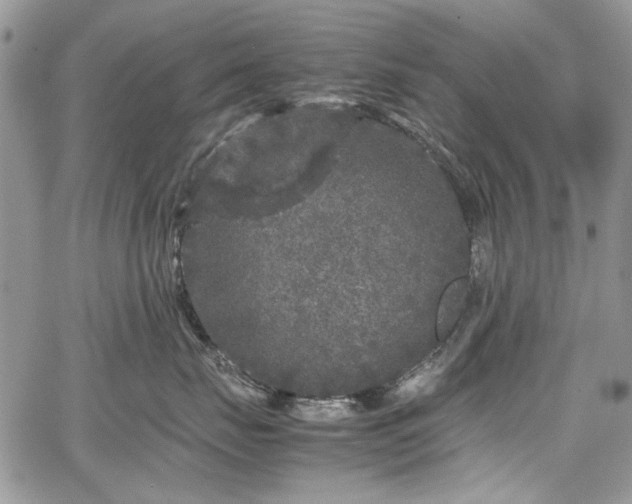 X0000067910671200604171340