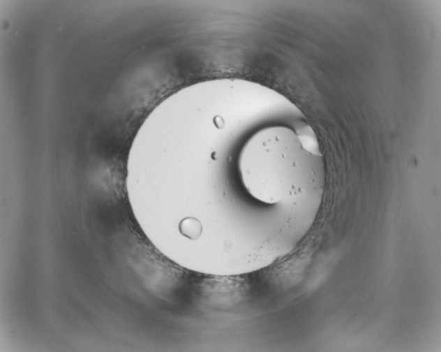 X0000067910672200604171340