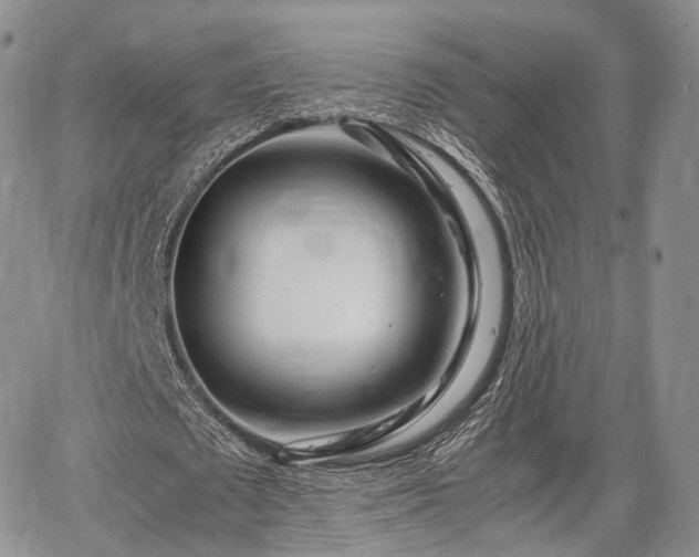 X0000067910673200604171339