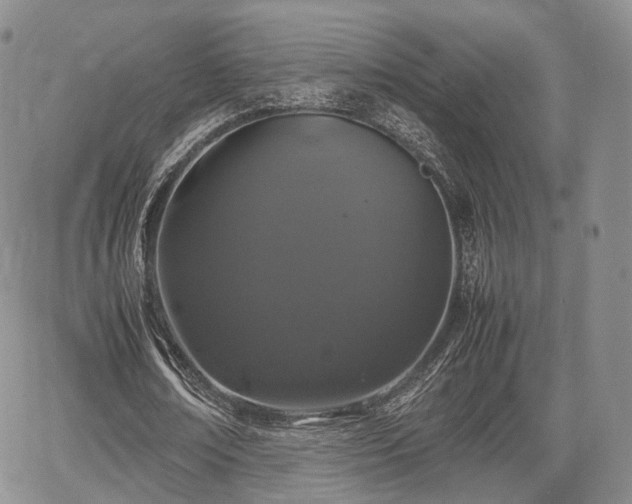 X0000067910674200604171339