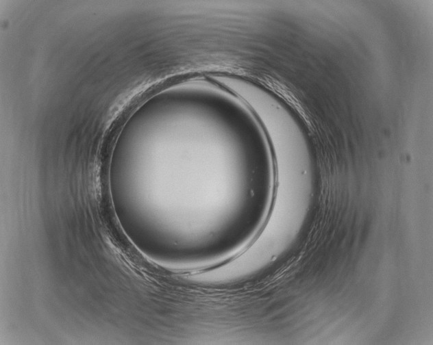 X0000067910676200604171339