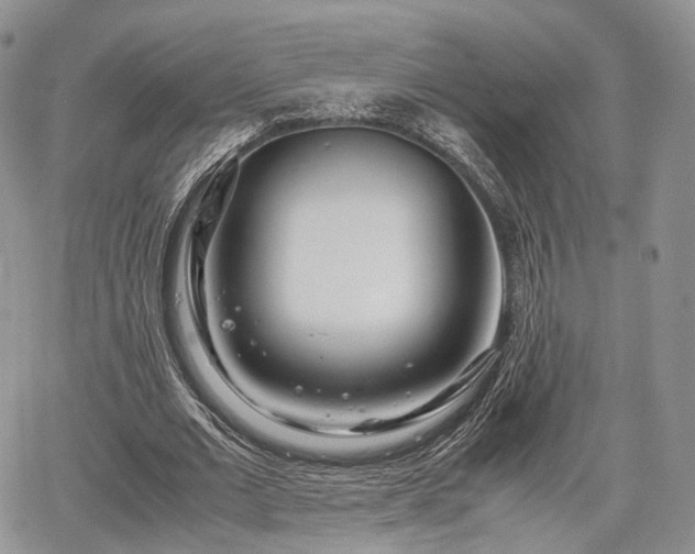 X0000067910677200604171339