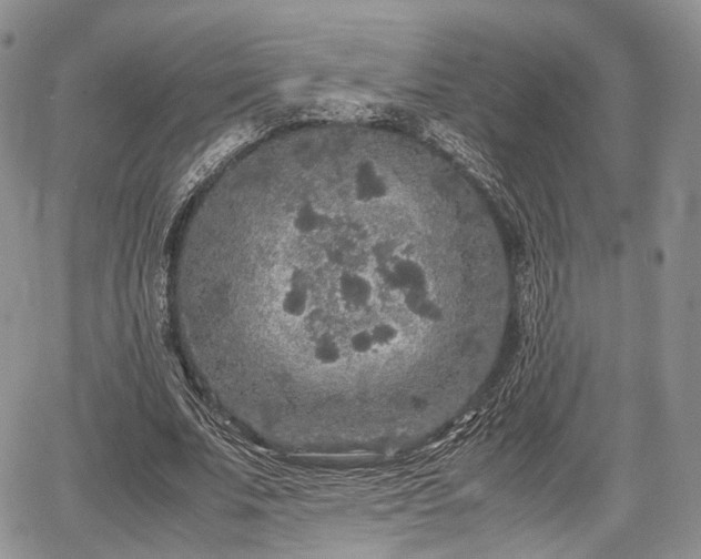 X0000067910679200604171339