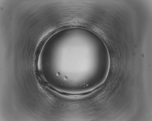 X0000067910680200604171339