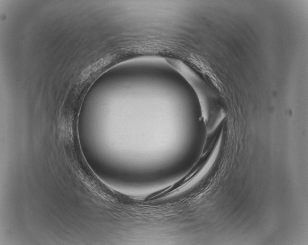 X0000067910681200604171339