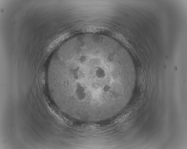 X0000067910683200604171339