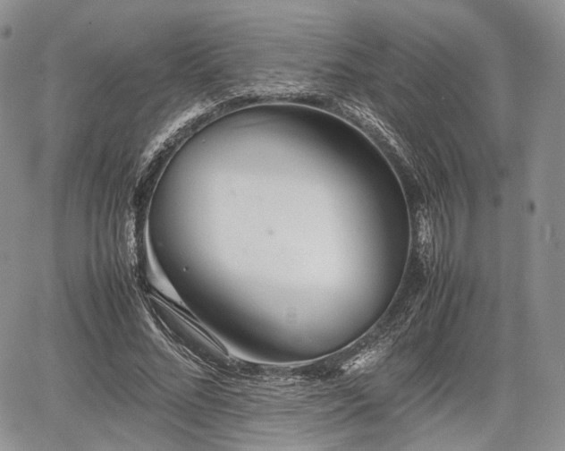 X0000067910684200604171339