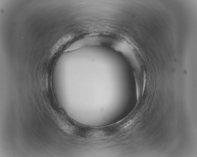 X0000067910685200604171339