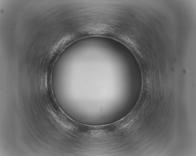 X0000067910686200604171339