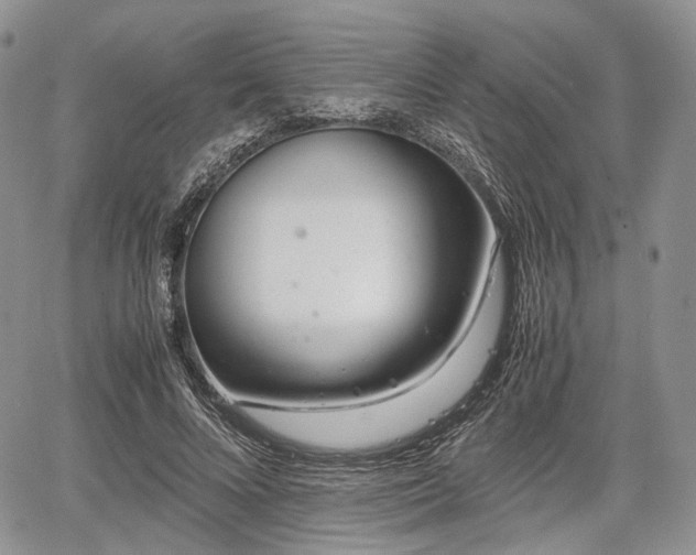 X0000067910688200604171339