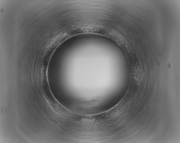 X0000067910690200604171339