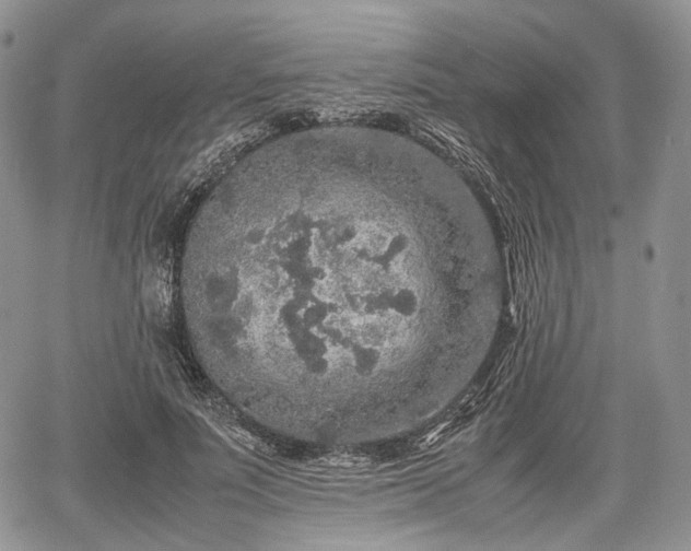 X0000067910691200604171339