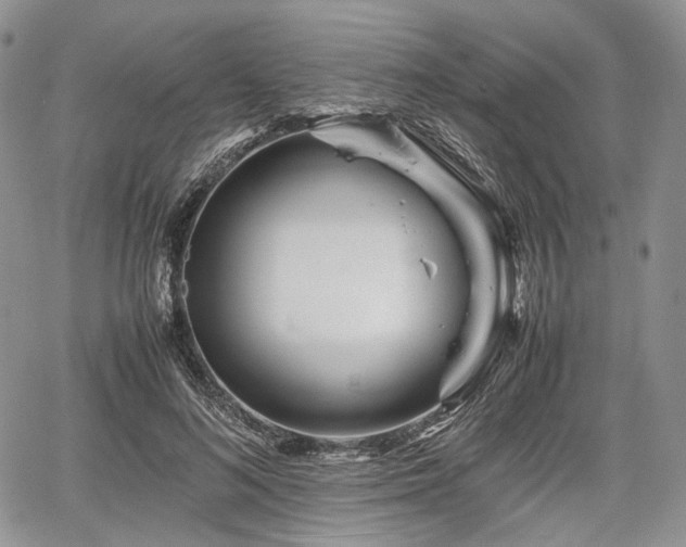 X0000067910692200604171339