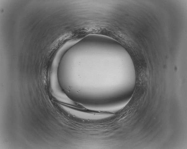 X0000067910693200604171339