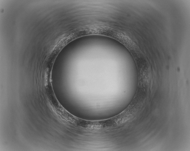 X0000067910694200604171339