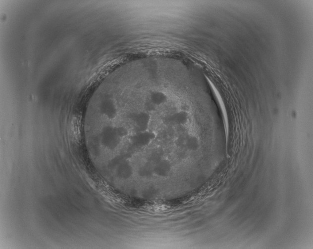 X0000067910695200604171339