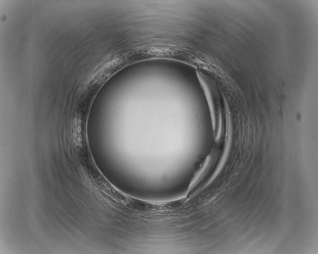 X0000067910696200604171339