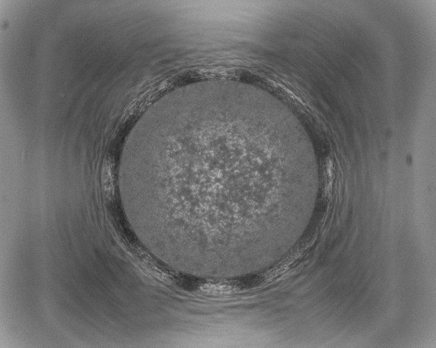 X0000067910699200604171339