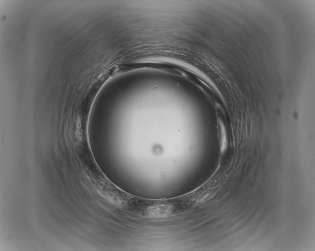 X0000067910700200604171339