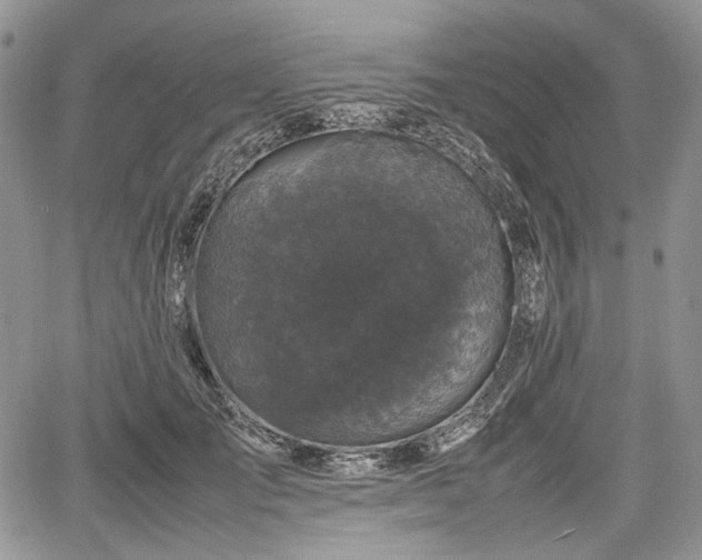 X0000067910701200604171339