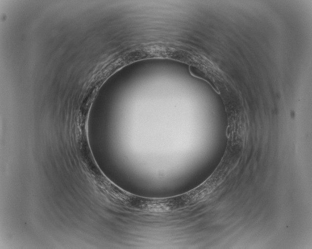 X0000067910702200604171339