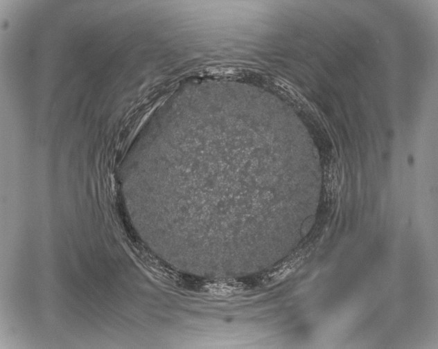 X0000067910703200604171339