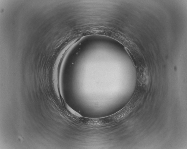 X0000067910704200604171339