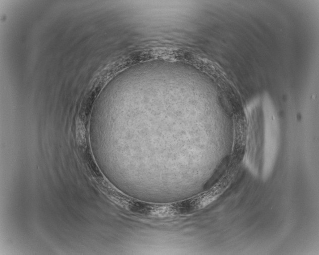 X0000067910705200604171339