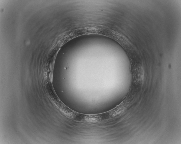 X0000067910706200604171339