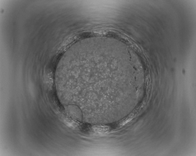 X0000067910707200604171339