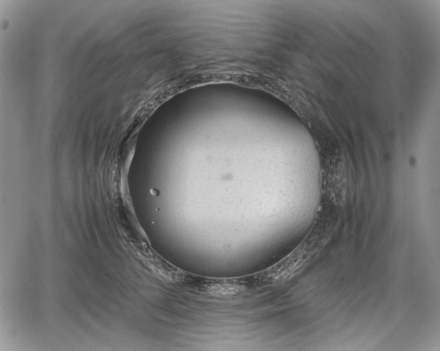 X0000067910708200604171339