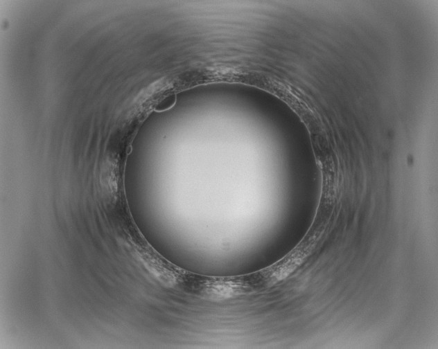 X0000067910710200604171339