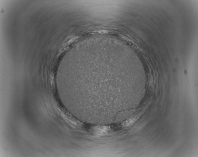 X0000067910711200604171339