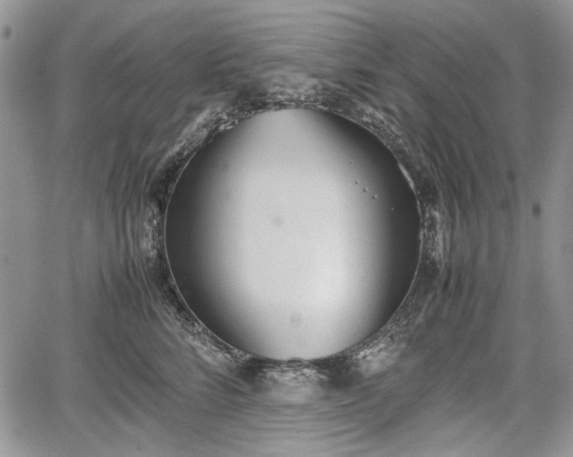 X0000067910712200604171339