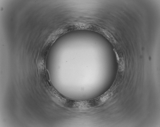 X0000067910713200604171339