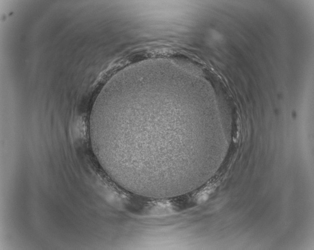 X0000067910715200604171339