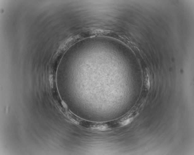 X0000067910716200604171339