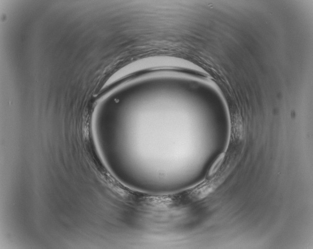 X0000067910719200604171338