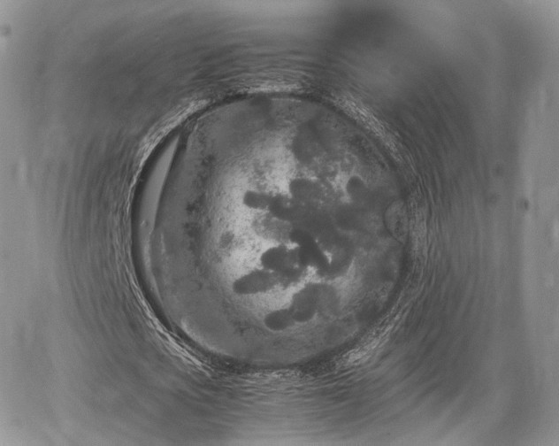 X0000067910721200604171338