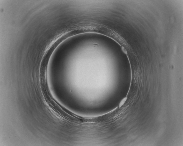 X0000067910722200604171338