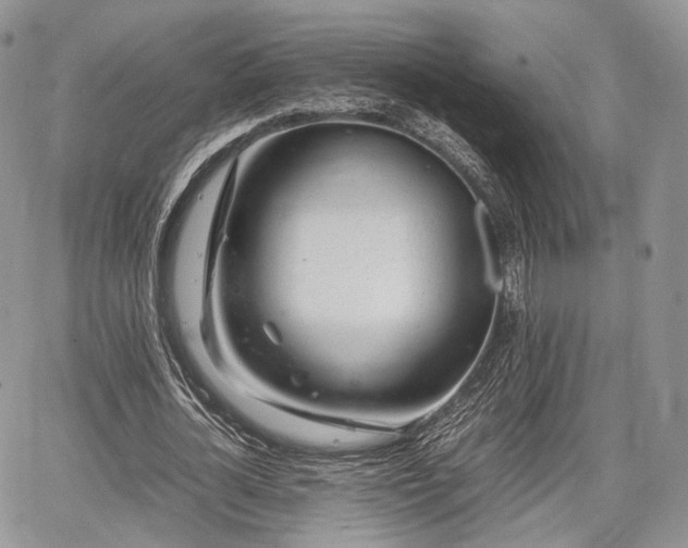 X0000067910724200604171338