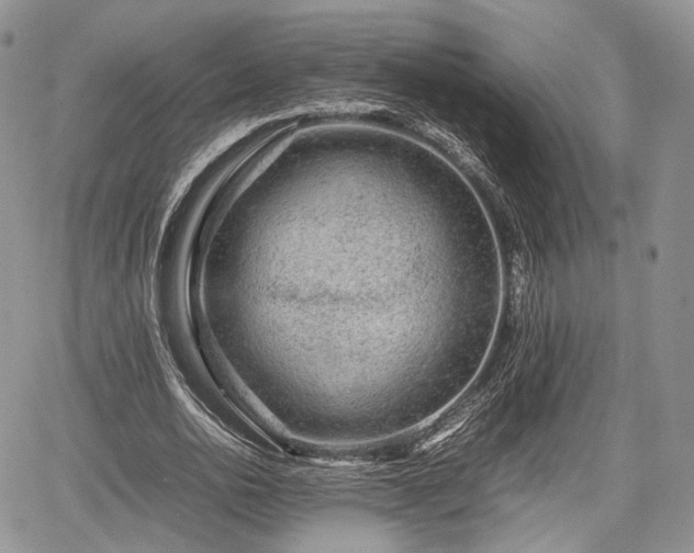 X0000067910726200604171338