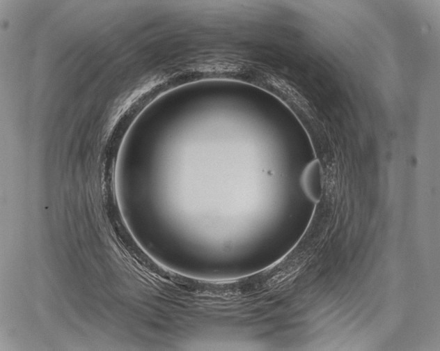 X0000067910727200604171338