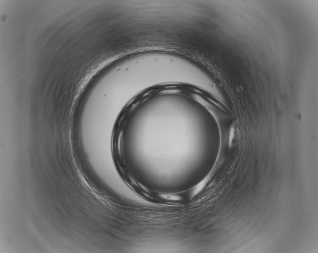 X0000067910728200604171338