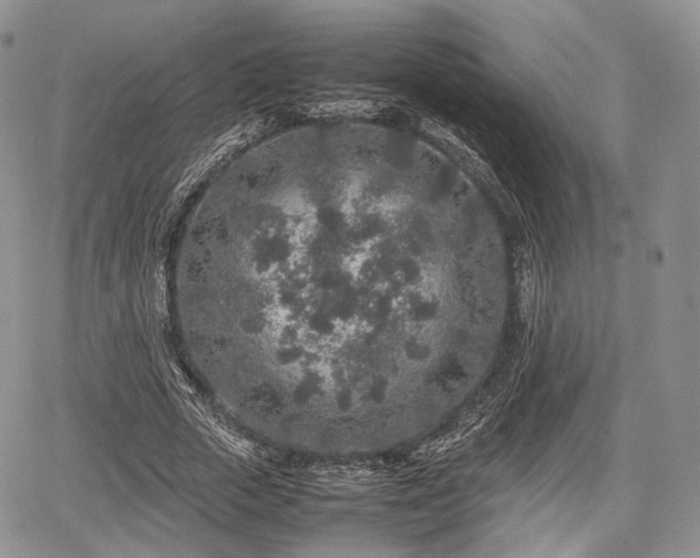 X0000067910729200604171338