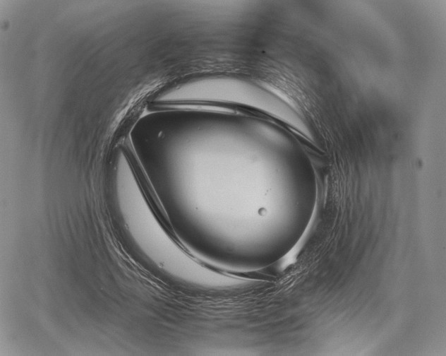 X0000067910731200604171338